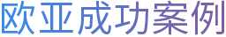 成功案例