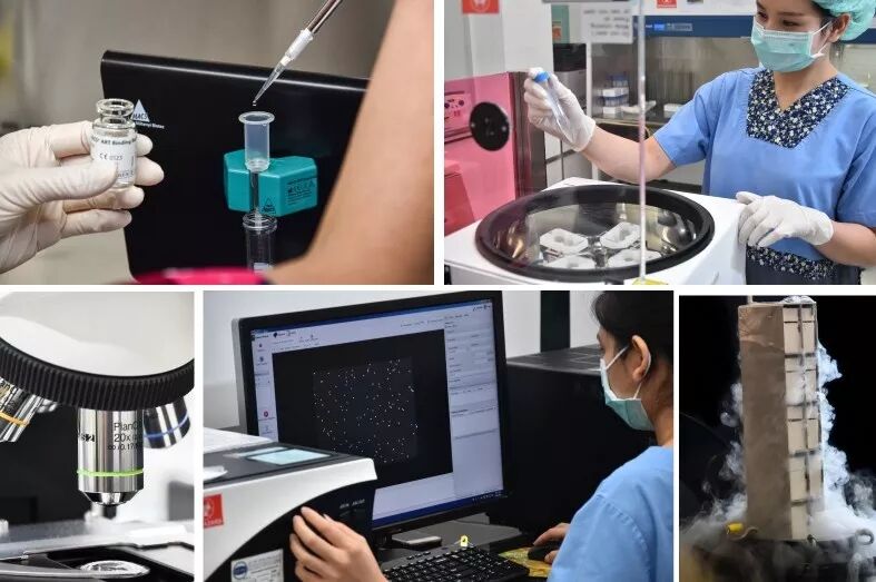 16 精液实验室 copy.jpg