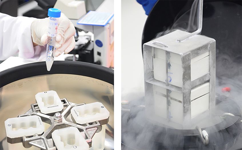 12 精液实验室 copy.png