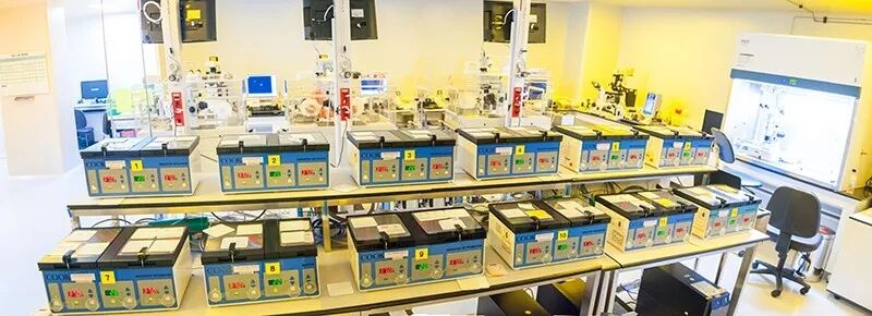 19 辅助受孕实验室 copy.jpg