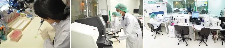 26 基因实验室 copy.jpg