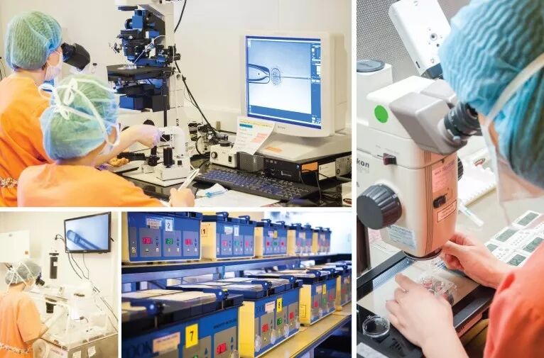 22 辅助受孕实验室 copy.jpg