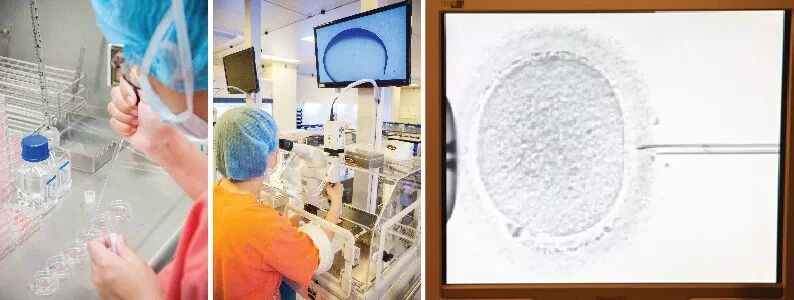 23 辅助受孕实验室 copy.jpg