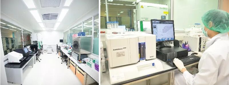 28 基因实验室 copy.jpg