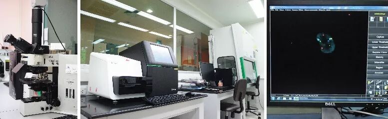 30 基因实验室 copy.jpg