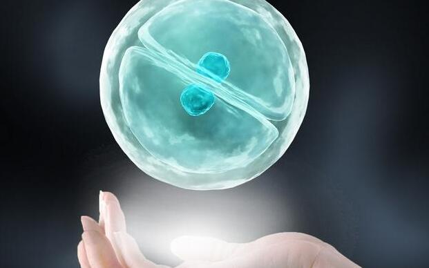 佛山三代试管婴儿民营医院2024年怎么样？（附最新试管费用明细表）