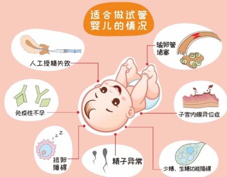 泰国三代试管婴儿大概费用是多少?（推荐可以做三代试管的）