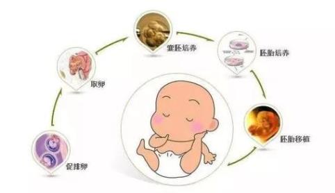 泰国试管婴儿大概多少钱?（能做三代试管的都在这里）