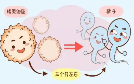 泰国做三代试管婴儿流程（附三代试管流程步骤分享）